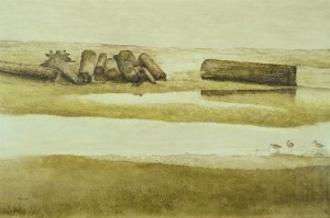 Birds feeding at low tide