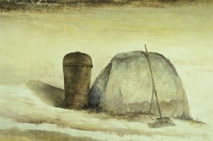 Big Boulder in the back yard