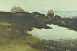 Rock and boulder expose during receding tide