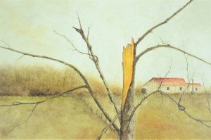 Tree split up in the storm.