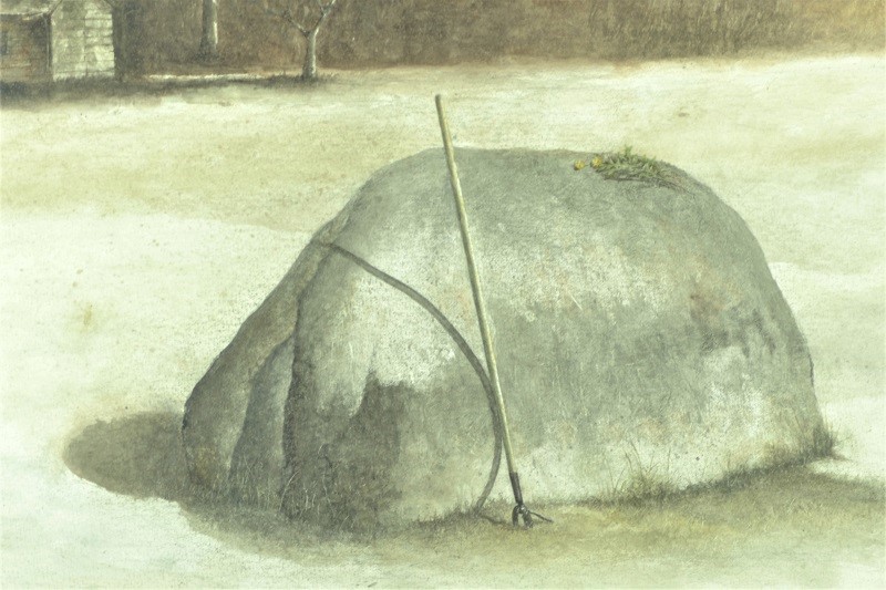 Large boulder in the garden can create a serenity landscape.